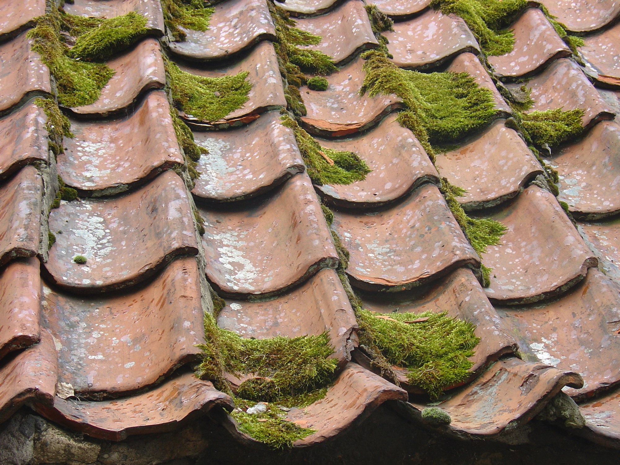 The Contractor Checklist: 7 Questions to Ask Any Roofer